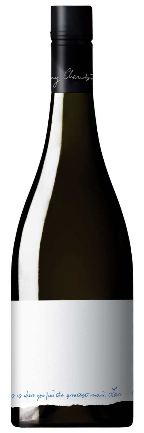 Cherubino On the Fringe Pinot Noir