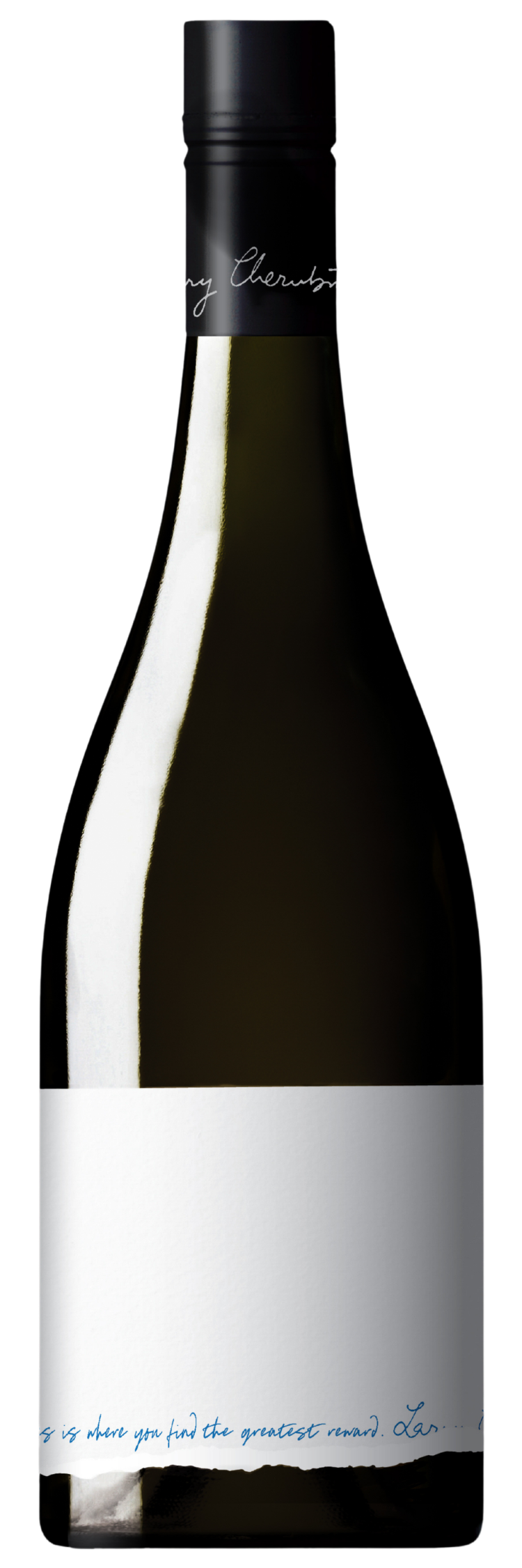 Cherubino On the Fringe Pinot Noir